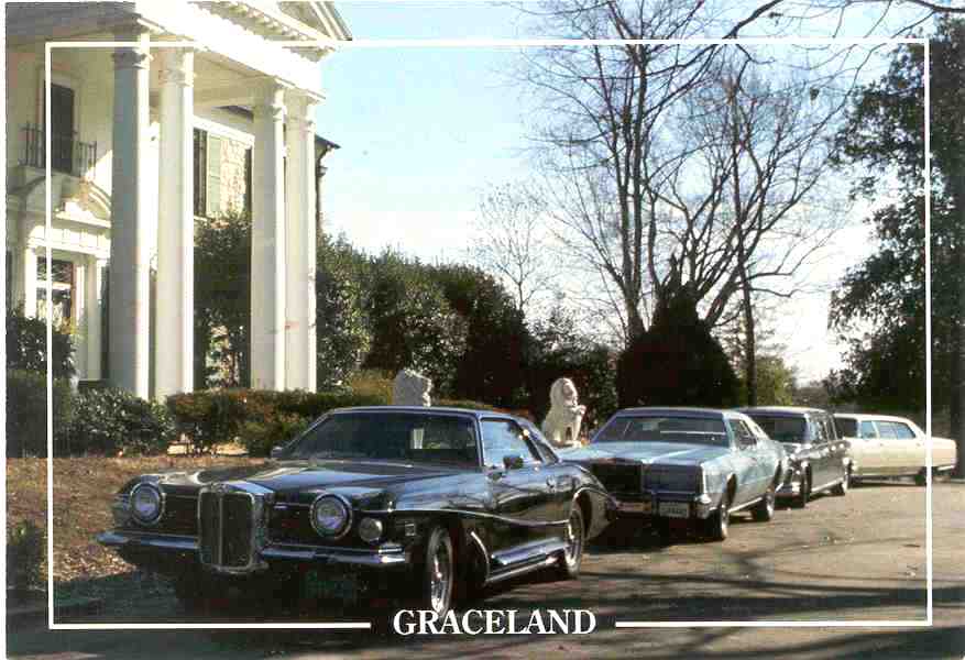 Graceland with Stutz